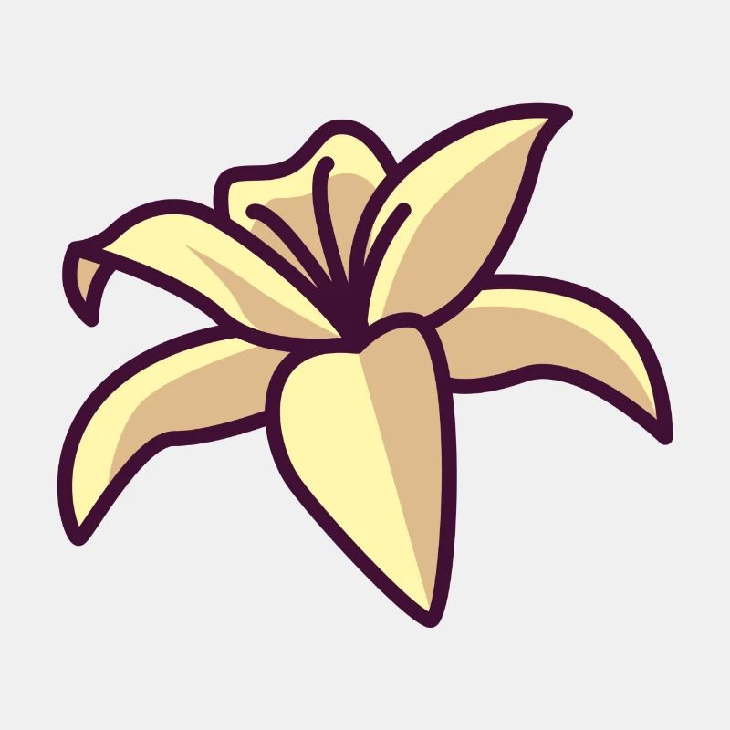 Lis