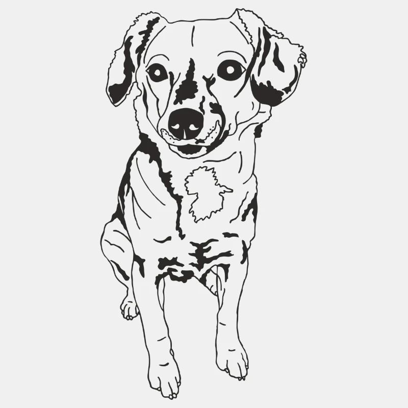 Chihuahua Dackel Mix