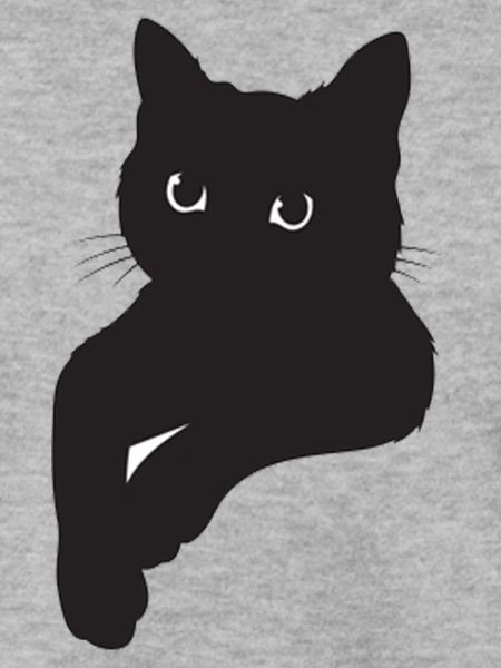 Schwarze Katze Pose