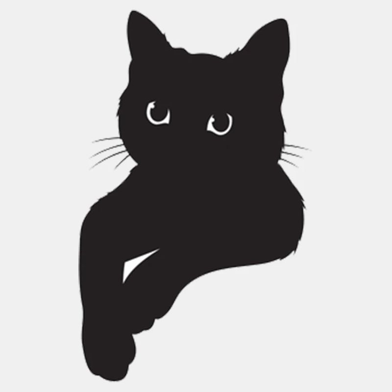 Schwarze Katze Pose