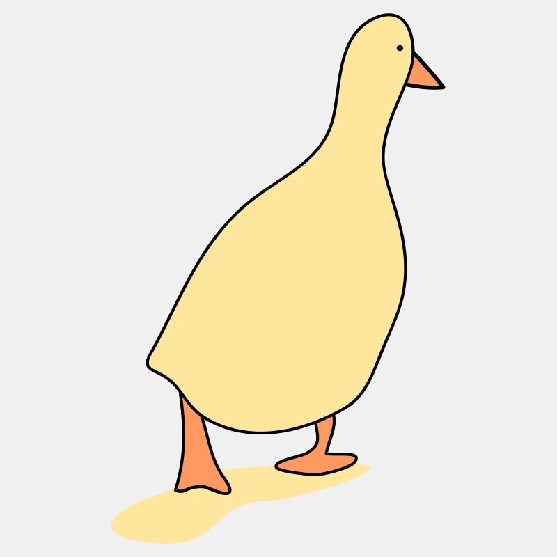 Oiseau canard 3