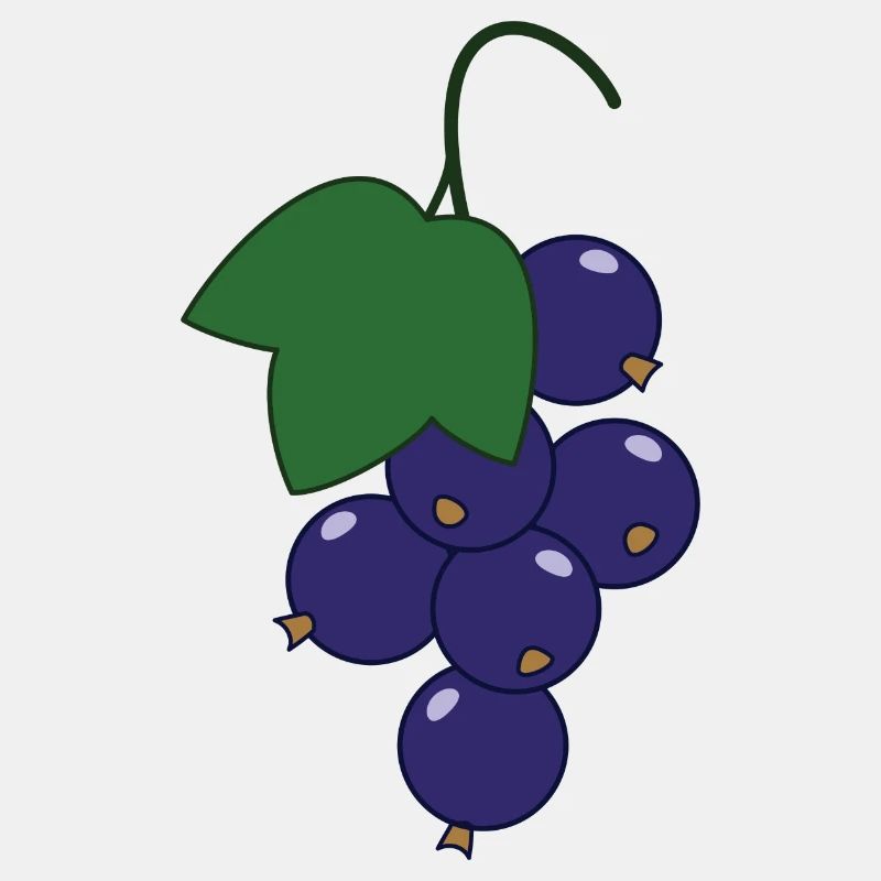 Johannisbeere