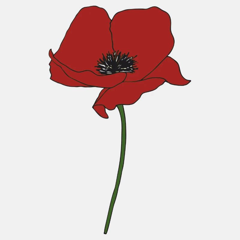 mohnblume
