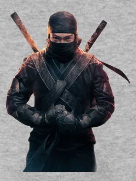 Ninja mit Schwertern