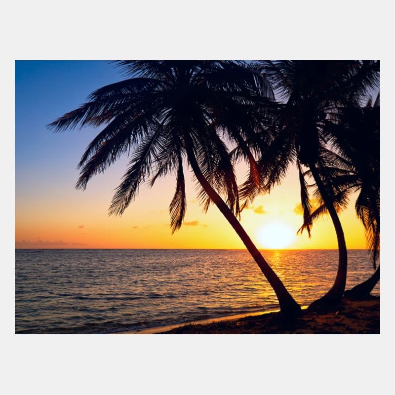 Coucher de soleil