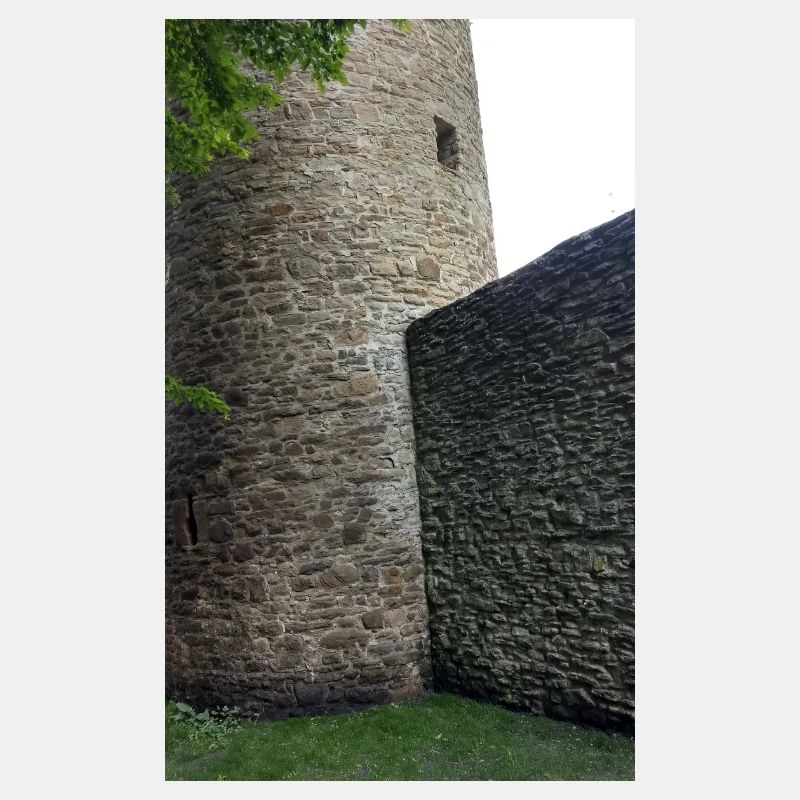 Burg Ruine