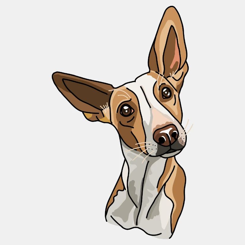 Podenco