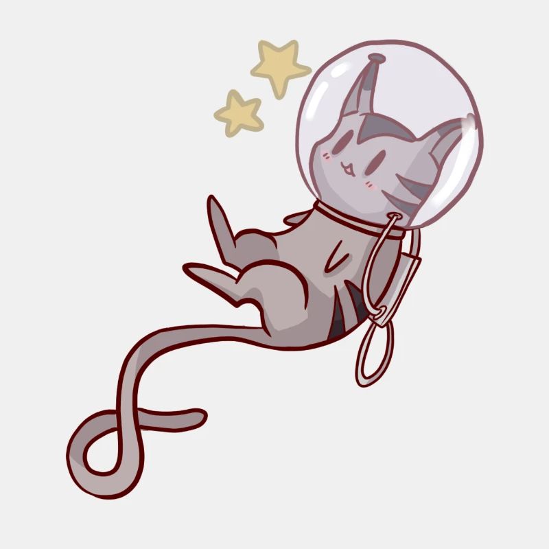 chat de l'espace