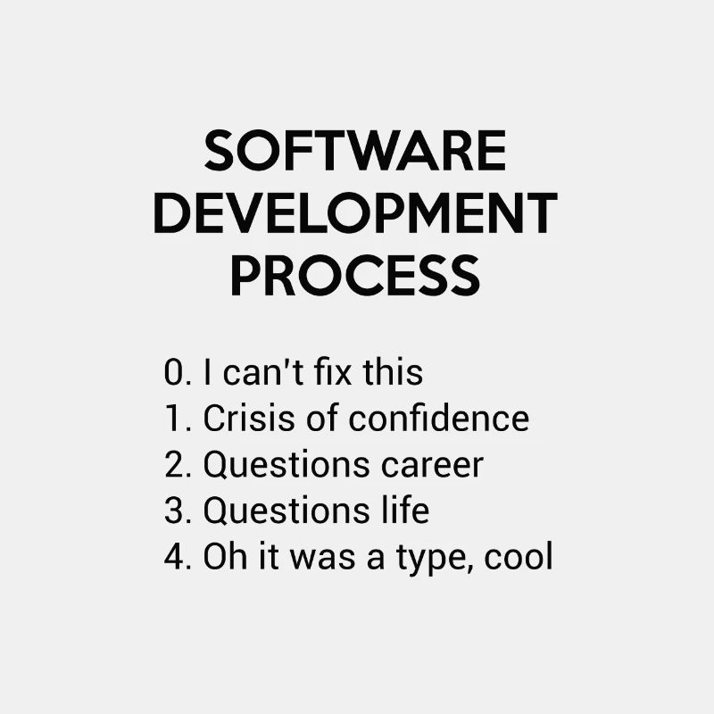 Software Development Process - Funny Shirt