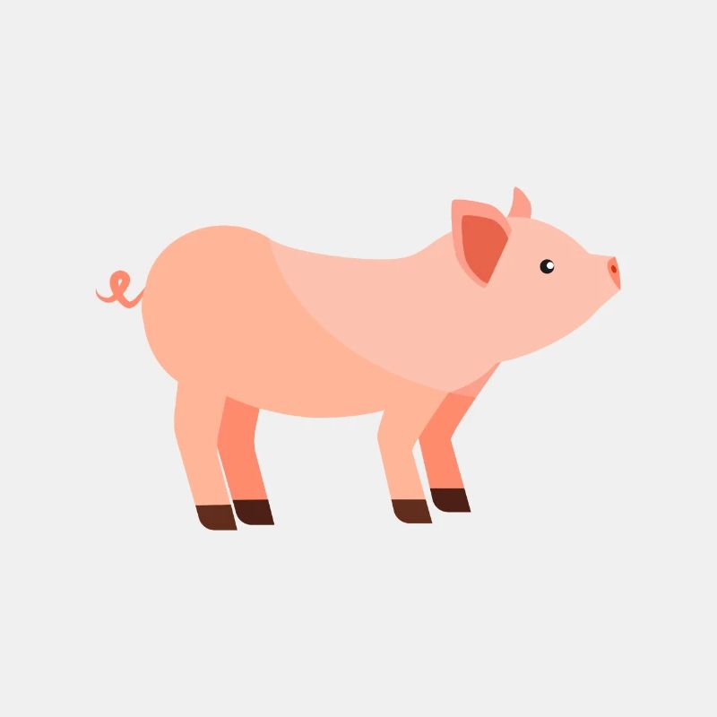 Schwein