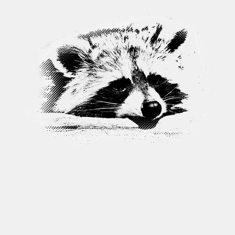 Niedlicher Waschbär