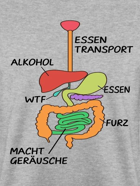 Anatomie Arzt Organe