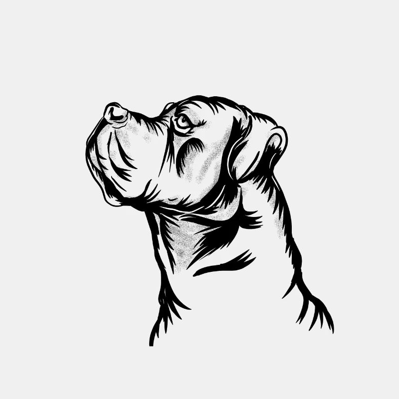 Cane corso chien race de chien chiot mastiff molosser