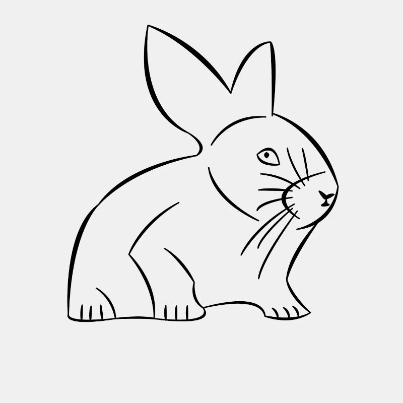 Rabbit drawn