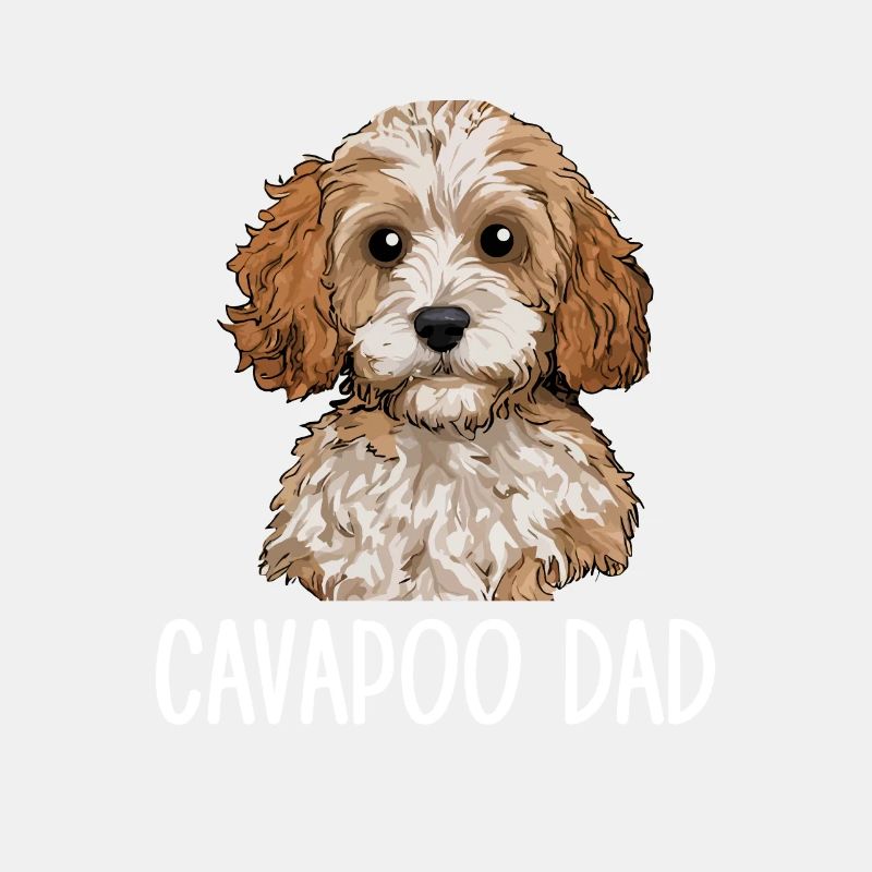 Cavapoo Papa, Cavapoo