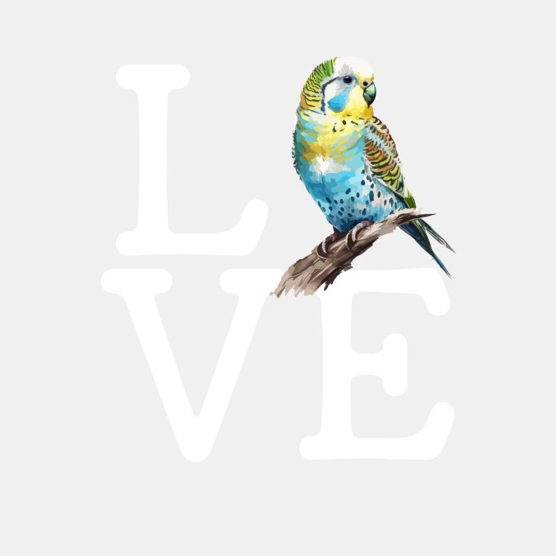 budgerigar parakeet, Budgie