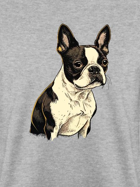 Boston Terrier