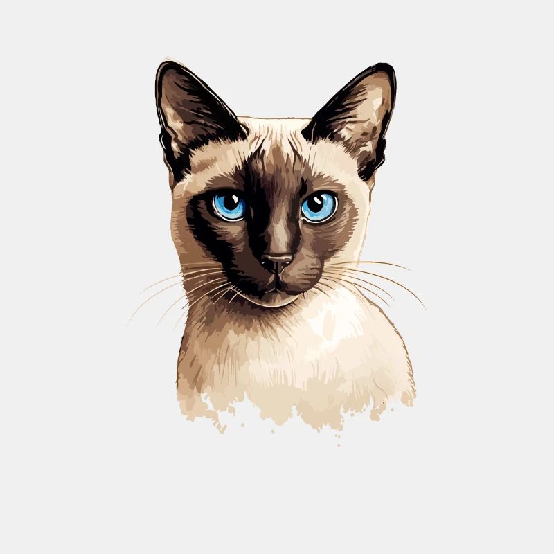 siamese cat