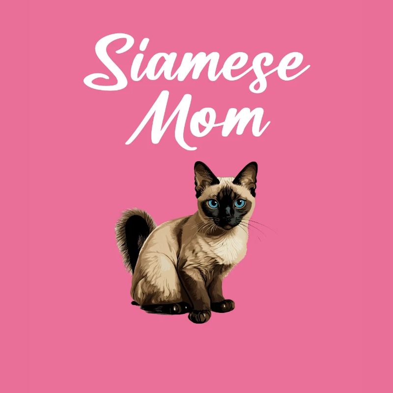 siamese cat