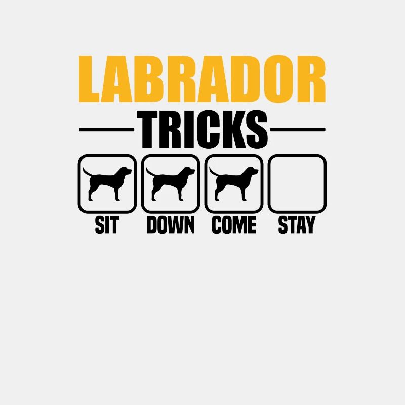 Labrador Tricks