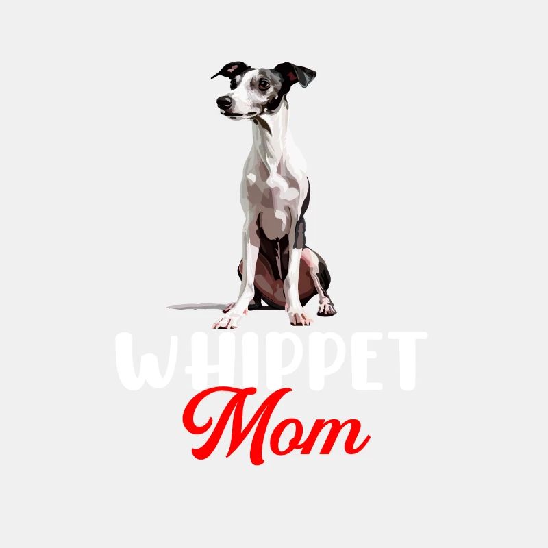 whippet dog