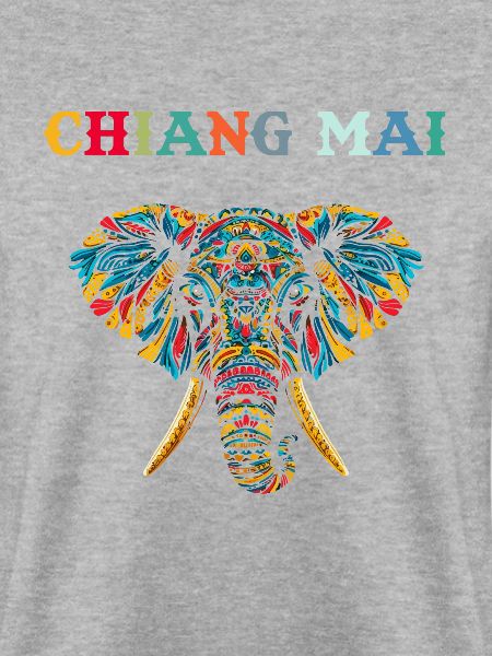 Chiang mai Elephant Thailand