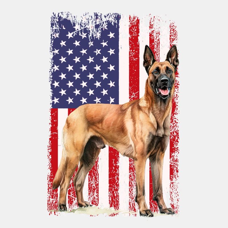 Belgian Malinois