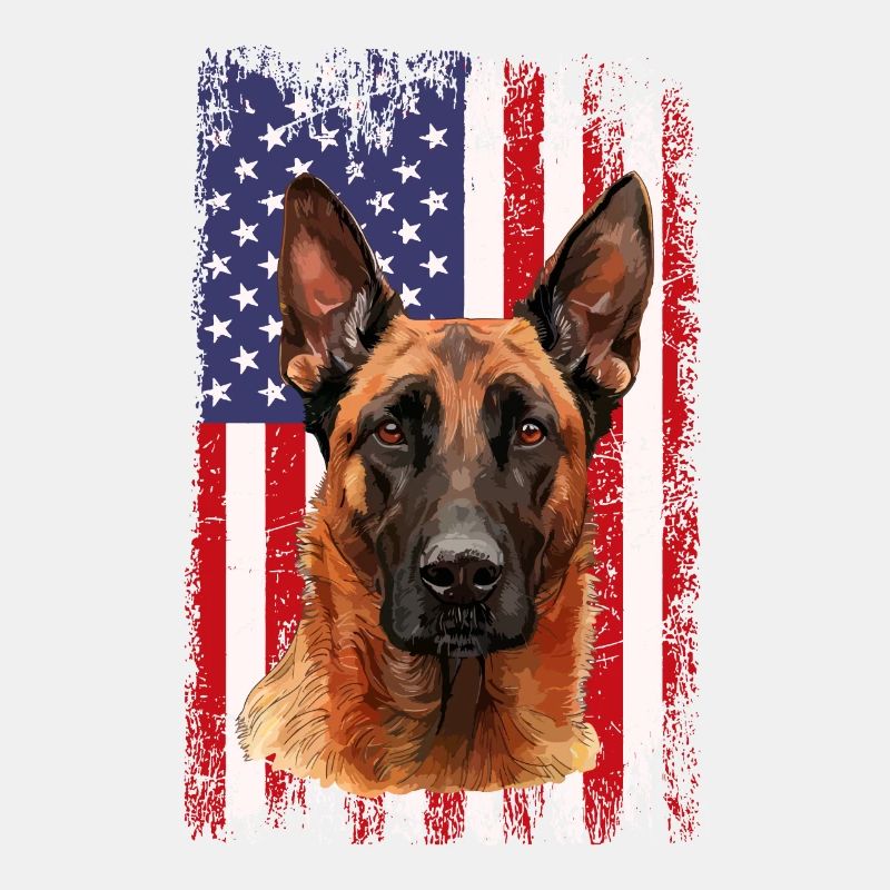 Belgian Malinois