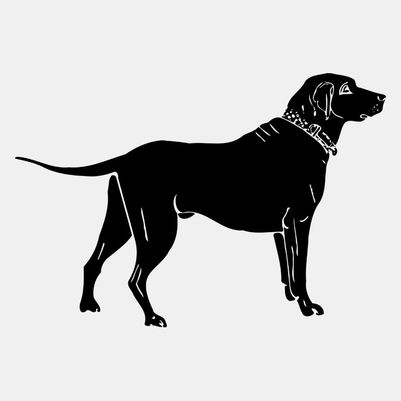 Hund in schwarz