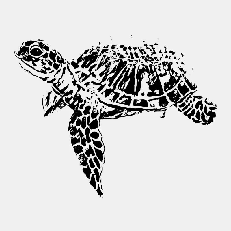 turtle