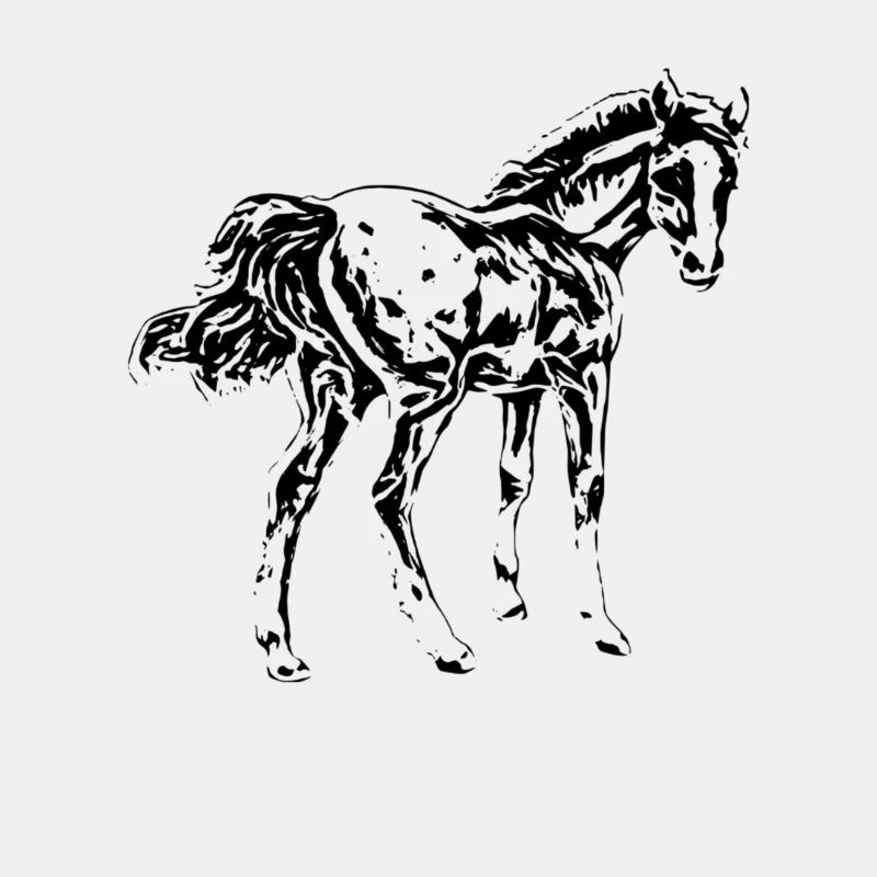 foal