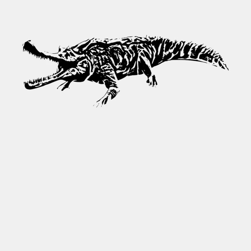 Crocodile