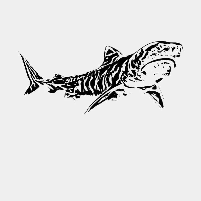 Tiger Shark