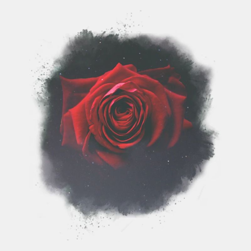 Red Rose