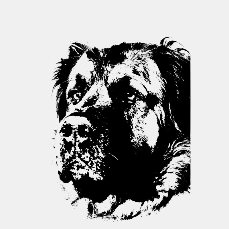 Germanischer Bärenhund