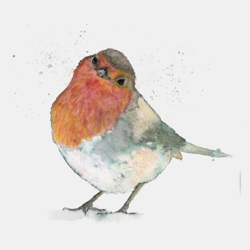 Robins in the snow