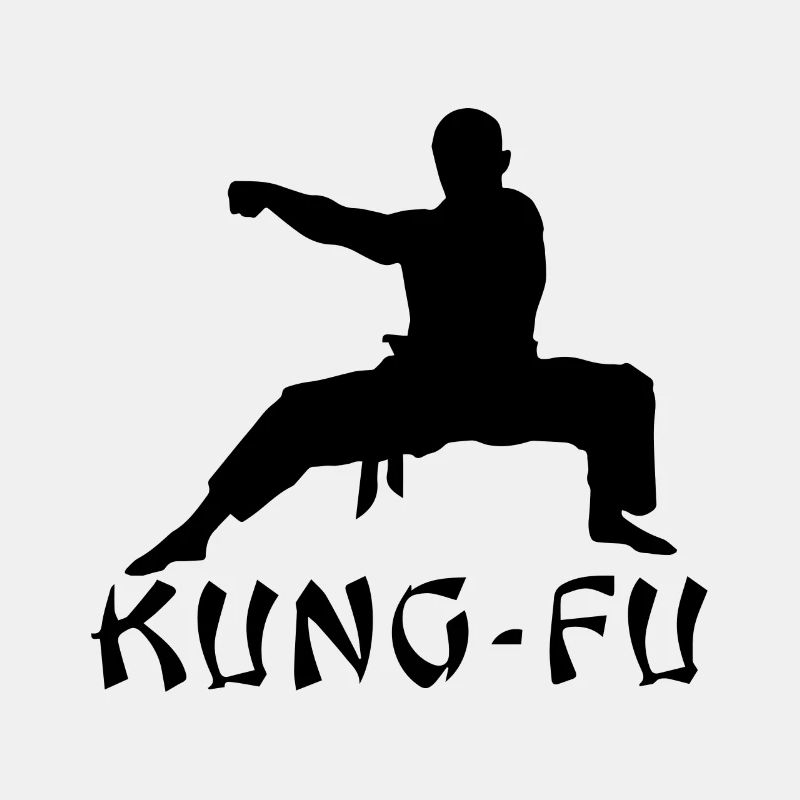 kung fu geschenkshirt
