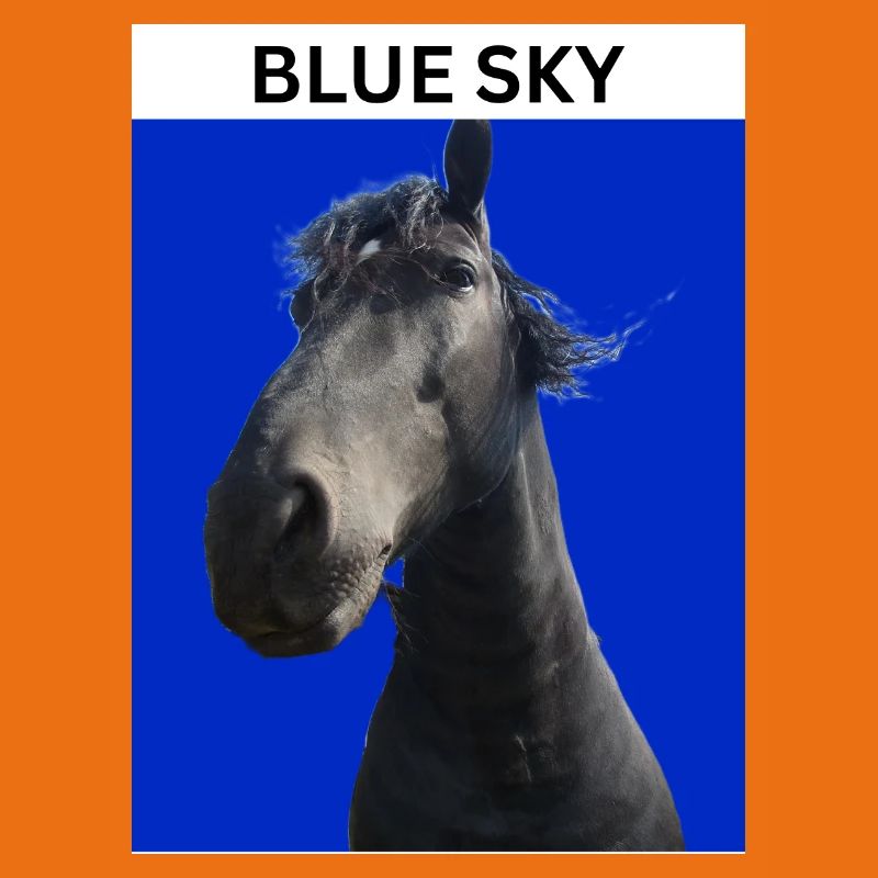Ciel bleu et cheval