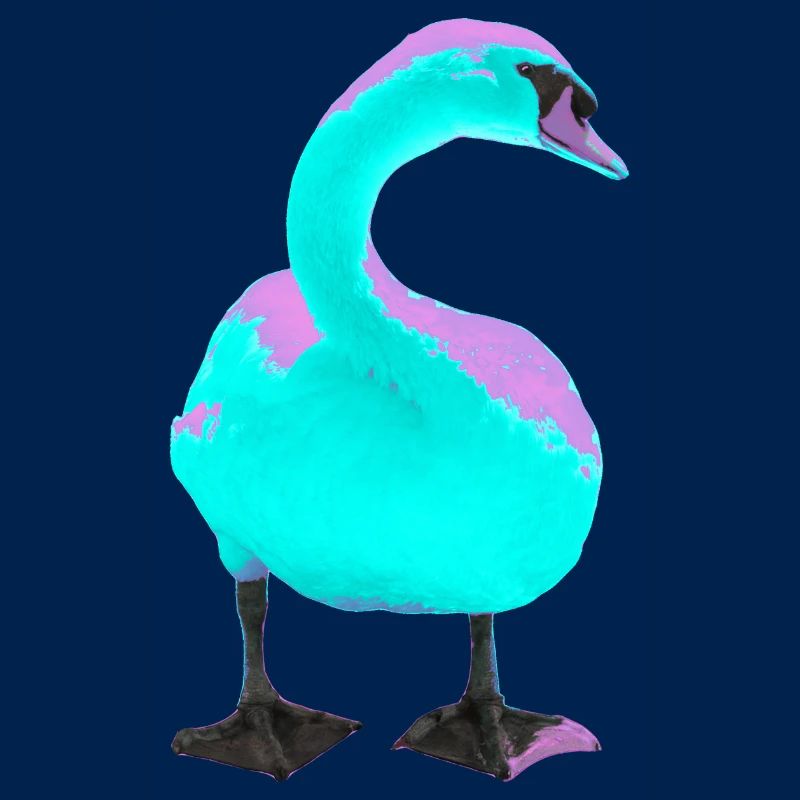 Schwan