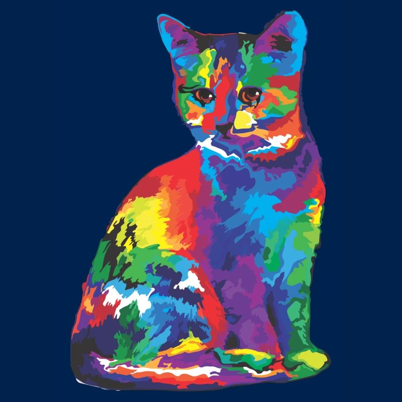 Regenbogen Katze