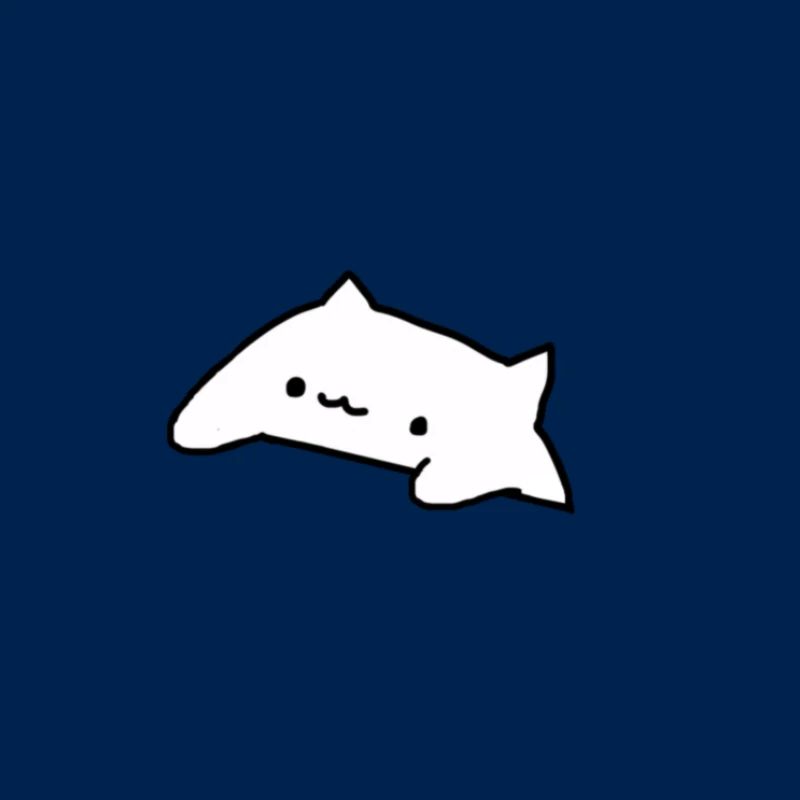 uwu cat