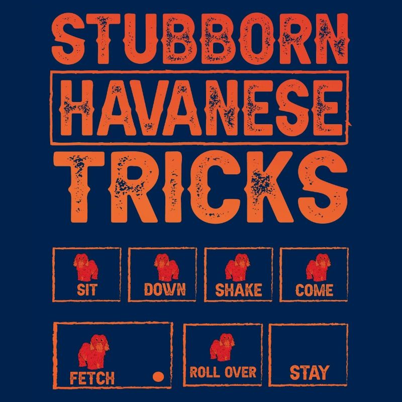 Stubborn Havanese Tricks