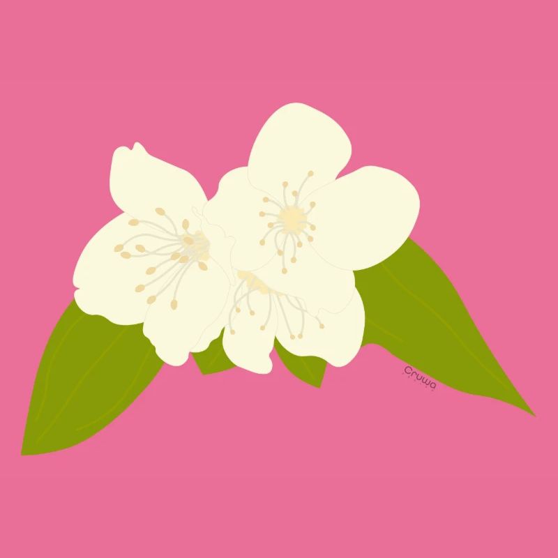 Jasmin
