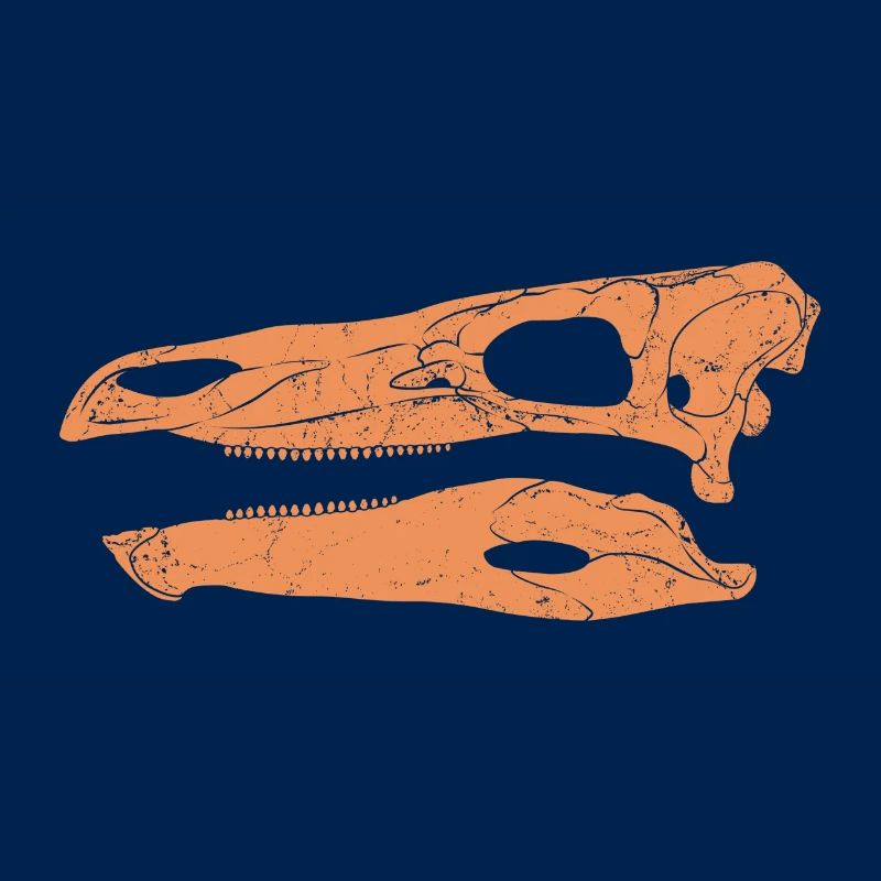 Stegosaurus Fossil Schädel
