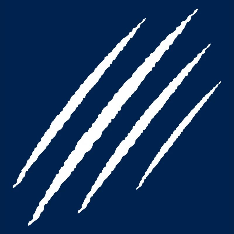 scratch claw wound icon