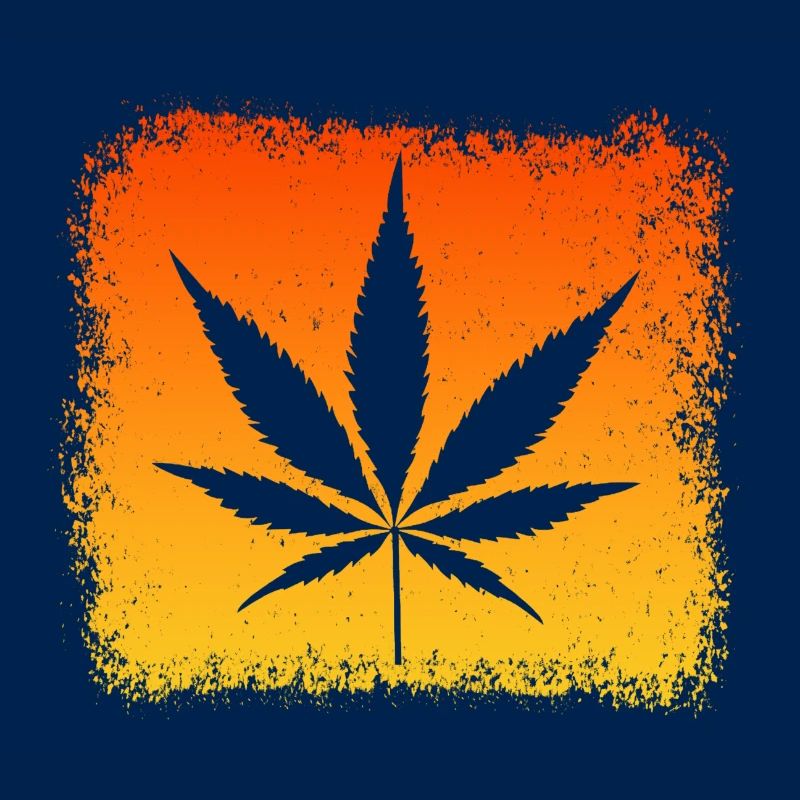Kiffen Kiffer Weed Gras Stoner
