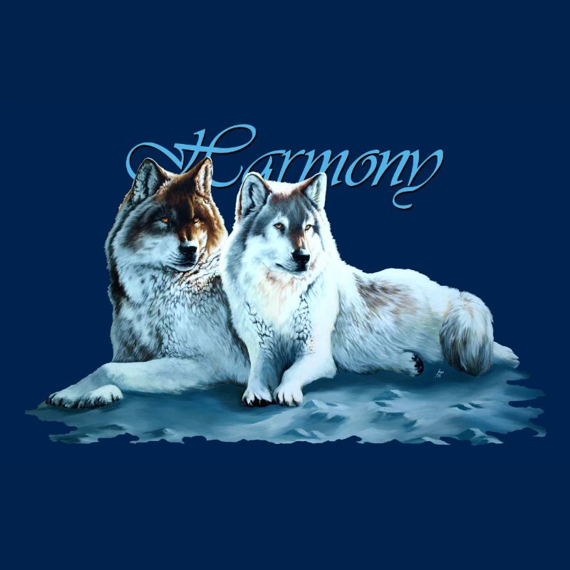 Harmony