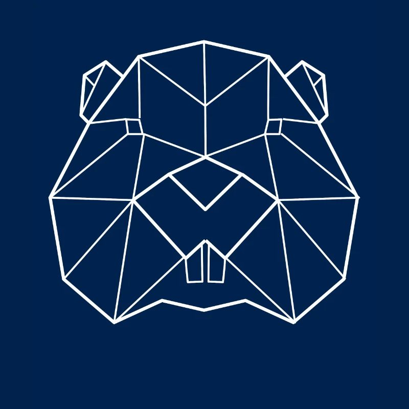 Biber Polygon