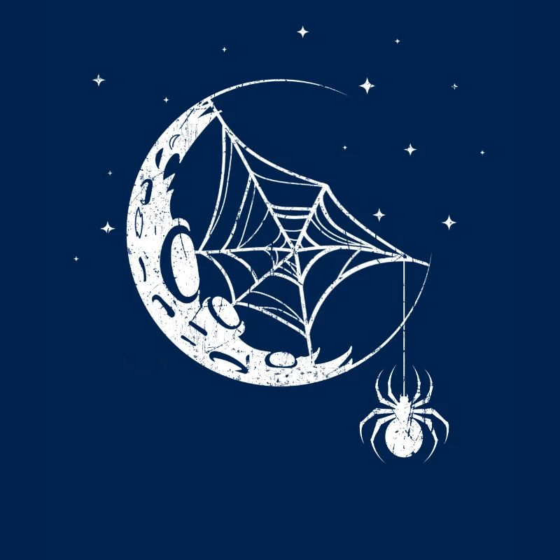 Araignée Toile d’araignée
