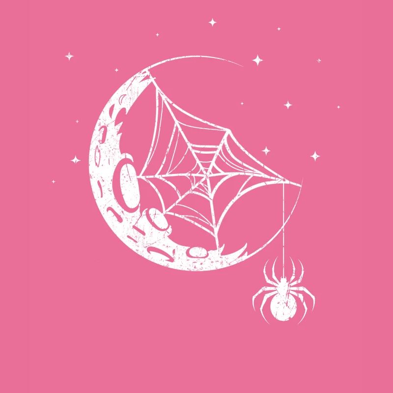 Spinne Spinnennetz